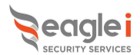 Eagle I Logo